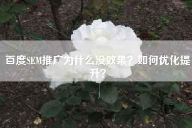 百度SEM推广为什么没效果？如何优化提升？