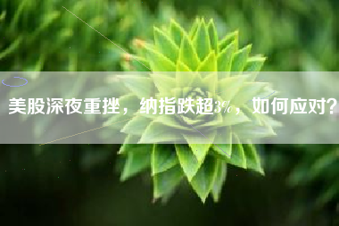 美股深夜重挫，纳指跌超3%，如何应对？