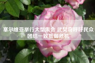 塞尔维亚举行大型集会 武契奇呼吁民众团结一致抵御危机