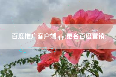百度推广客户端app(更名百度营销)