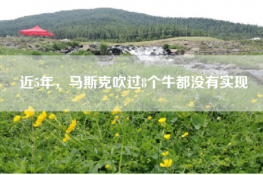 近5年，马斯克吹过8个牛都没有实现