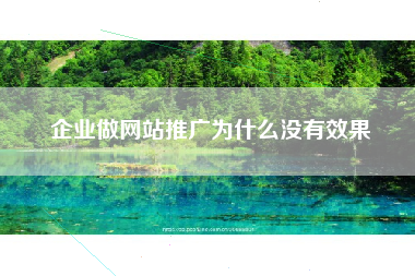 企业做网站推广为什么没有效果