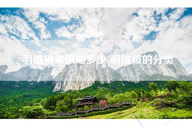 羽绒被常识知多少 羽绒被的分类