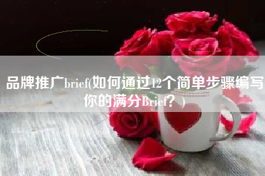 品牌推广brief(如何通过12个简单步骤编写你的满分Brief？)