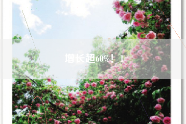 增长超60%！1