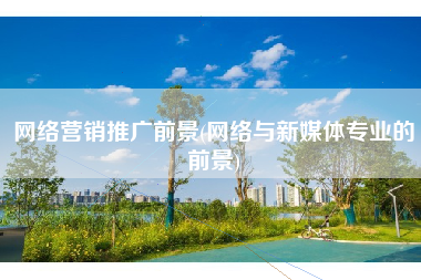 网络营销推广前景(网络与新媒体专业的前景)
