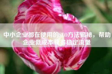 中小企业都在使用的SEO方法揭秘，帮助企业低成本获得稳定流量