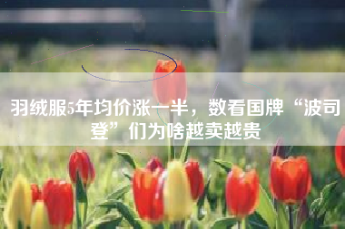 羽绒服5年均价涨一半，数看国牌“波司登”们为啥越卖越贵
