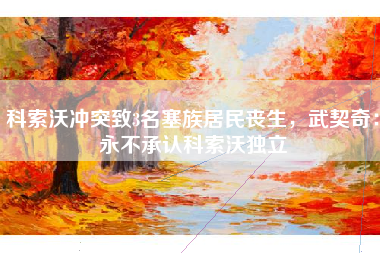 科索沃冲突致3名塞族居民丧生，武契奇：永不承认科索沃独立