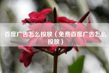 百度广告怎么投放（免费百度广告怎么投放）