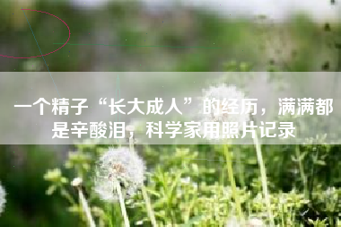 一个精子“长大成人”的经历，满满都是辛酸泪，科学家用照片记录