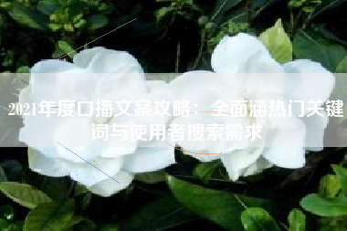2021年度口播文案攻略：全面涵热门关键词与使用者搜索需求