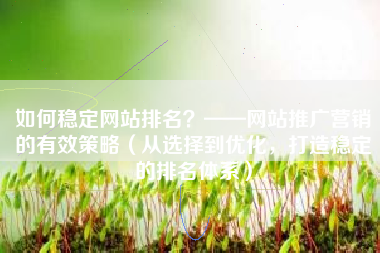 如何稳定网站排名？——网站推广营销的有效策略（从选择到优化，打造稳定的排名体系）