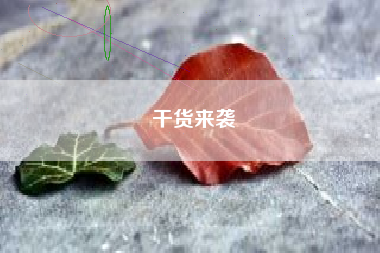 干货来袭