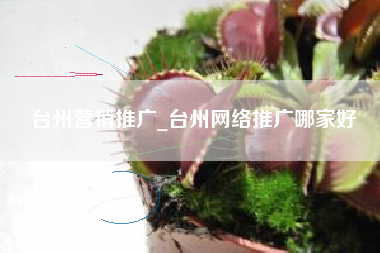 台州营销推广_台州网络推广哪家好