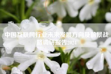 中国互联网行业未来发展方向及前景战略调研报告2024