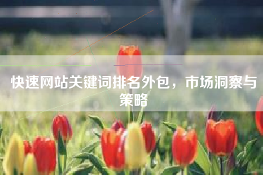快速网站关键词排名外包，市场洞察与策略