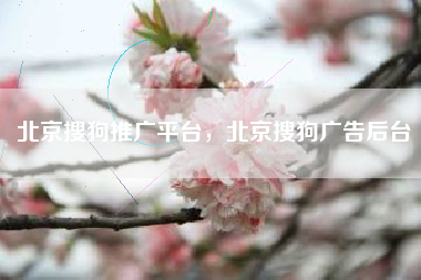 北京搜狗推广平台，北京搜狗广告后台