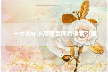 十大必知的高质量图片搜索引擎