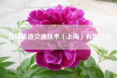 德铁轨道交通技术（上海）有限公司