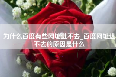 为什么百度有些网址进不去_百度网址进不去的原因是什么