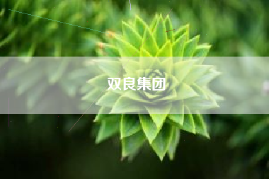双良集团 双良集团