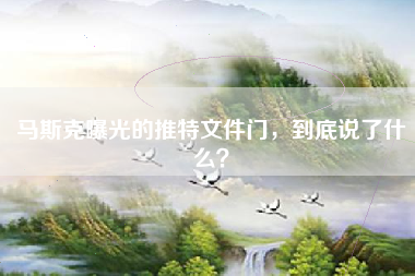 马斯克曝光的推特文件门，到底说了什么？