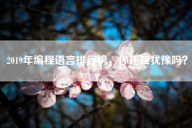 2019年编程语言排行榜，你还在犹豫吗？