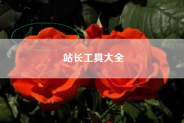 站长工具大全 站长工具大全