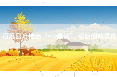 百度官方推出“SEO建议” 引航网站优化