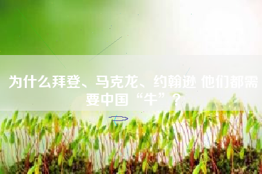 为什么拜登、马克龙、约翰逊 他们都需要中国“牛”？