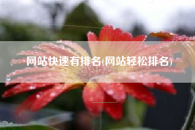网站快速有排名(网站轻松排名)