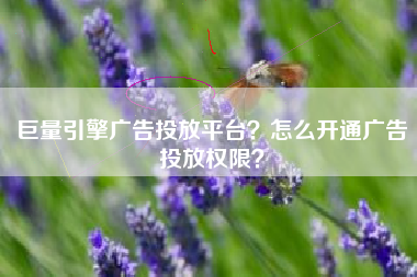 巨量引擎广告投放平台？怎么开通广告投放权限？