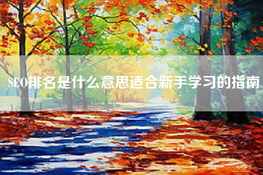 SEO排名是什么意思适合新手学习的指南