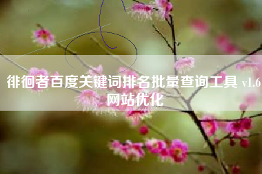 徘徊者百度关键词排名批量查询工具 v1.6 网站优化