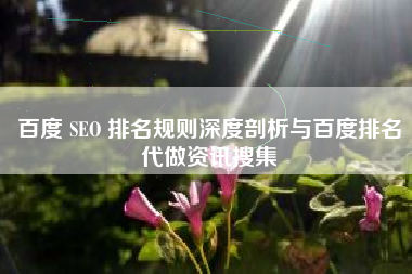 百度 SEO 排名规则深度剖析与百度排名代做资讯搜集