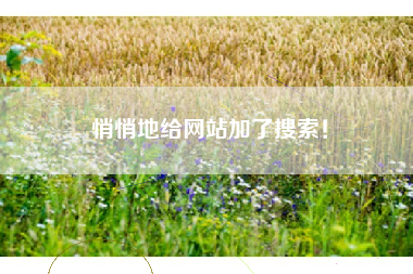 悄悄地给网站加了搜索！