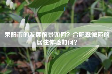 荥阳市的发展前景如何？合肥翠微苑的居住体验如何？