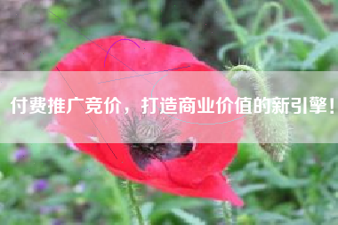 付费推广竞价，打造商业价值的新引擎！