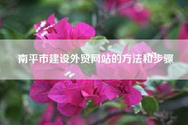 南平市建设外贸网站的方法和步骤