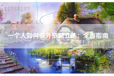 一个人如何做外贸独立站:全面指南 一个人如何做外贸独立站:全面指南
