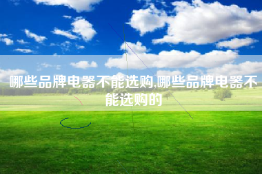 哪些品牌电器不能选购,哪些品牌电器不能选购的
