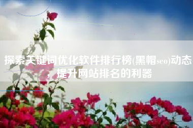 探索关键词优化软件排行榜(黑帽seo)动态，提升网站排名的利器