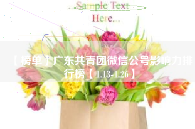 【榜单】广东共青团微信公号影响力排行榜【1.13-1.26】