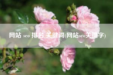 网站 seo 排名 关键词(网站seo关键字)