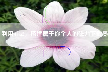 利用Aria2，搭建属于你个人的磁力下载器