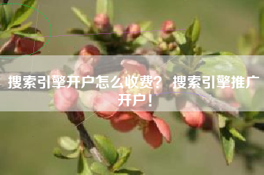 搜索引擎开户怎么收费？ 搜索引擎推广开户！
