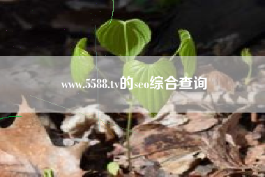 www.5588.tv的seo综合查询