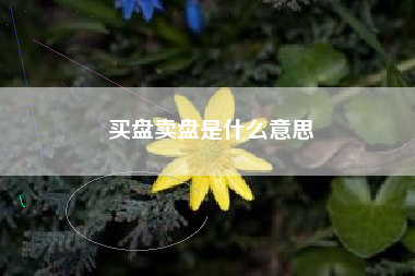 买盘卖盘是什么意思