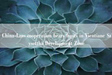 China-Laos cooperation bears fruits in Vientiane Saysettha Development Zone